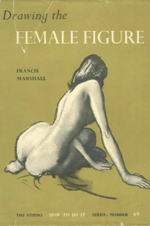 drawing the female figure
