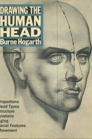 drawing the human head 1
