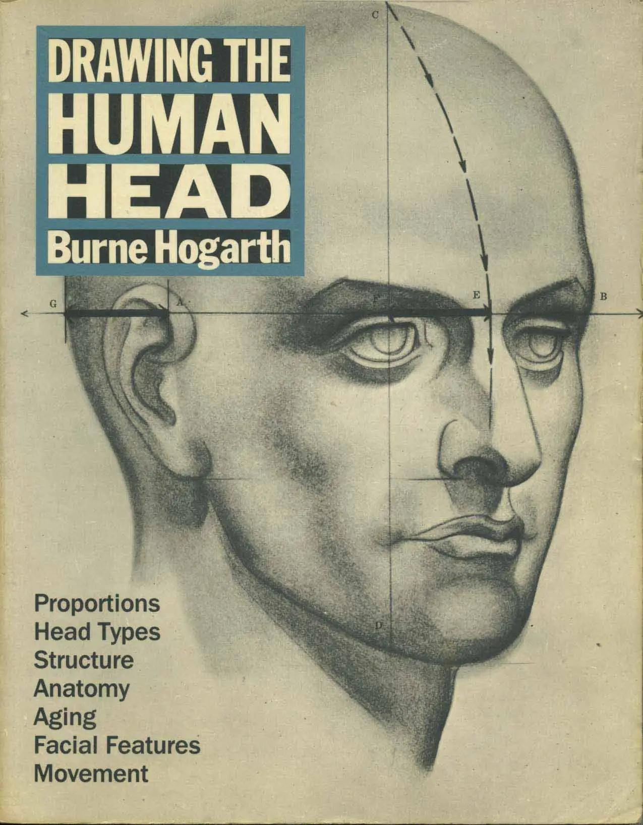 drawing the human head 1