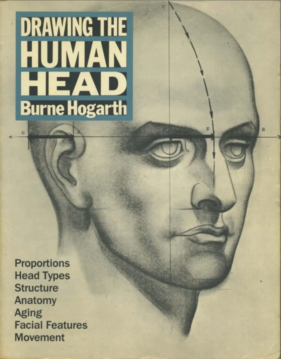 drawing the human head 2