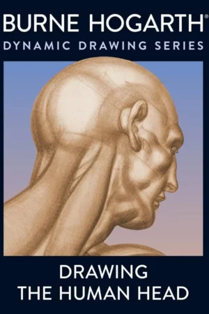 drawing the human head