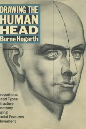 drawing the human head 1 1