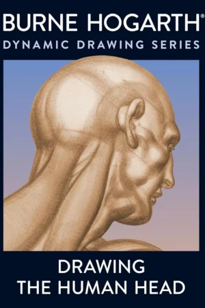 drawing the human head 1