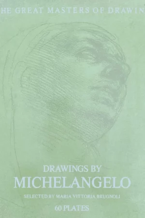 drawings by michelangelo 60 plates the great masters of drawing 1