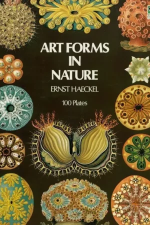 ernst haeckels art forms in nature a visual masterpiece