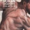 essential human anatomy for artists