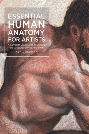 essential human anatomy for artists