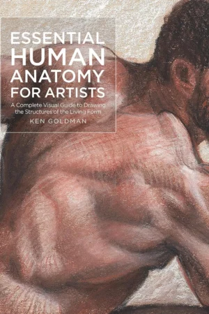 essential human anatomy for artists a complete visual guide to drawing the structures of the living form
