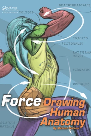 force drawing human anatomy 