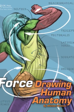force drawing human anatomy force drawing series