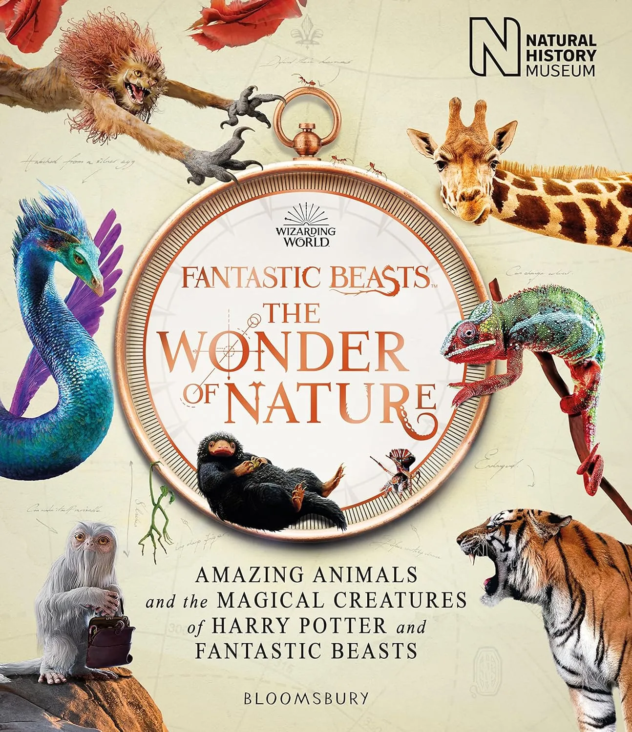 fantastic beasts the wonder of nature 1