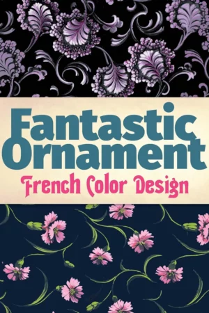 fantastic ornament french color design dover fine art history of art