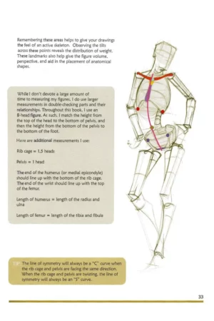 figure drawing design and invention 2