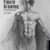 figure drawing for concept artists