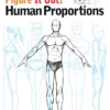 figure it out human proportions