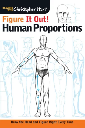 figure it out human proportions