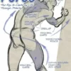 force the key to capturing life through drawing 1