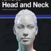 form of the head and neck 1