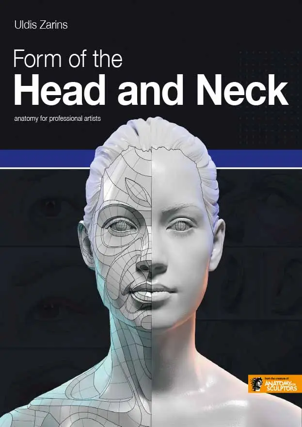 form of the head and neck 1
