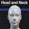 form of the head and neck