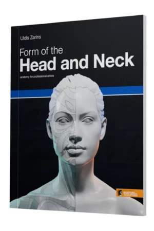 form of the head and neck 1 1