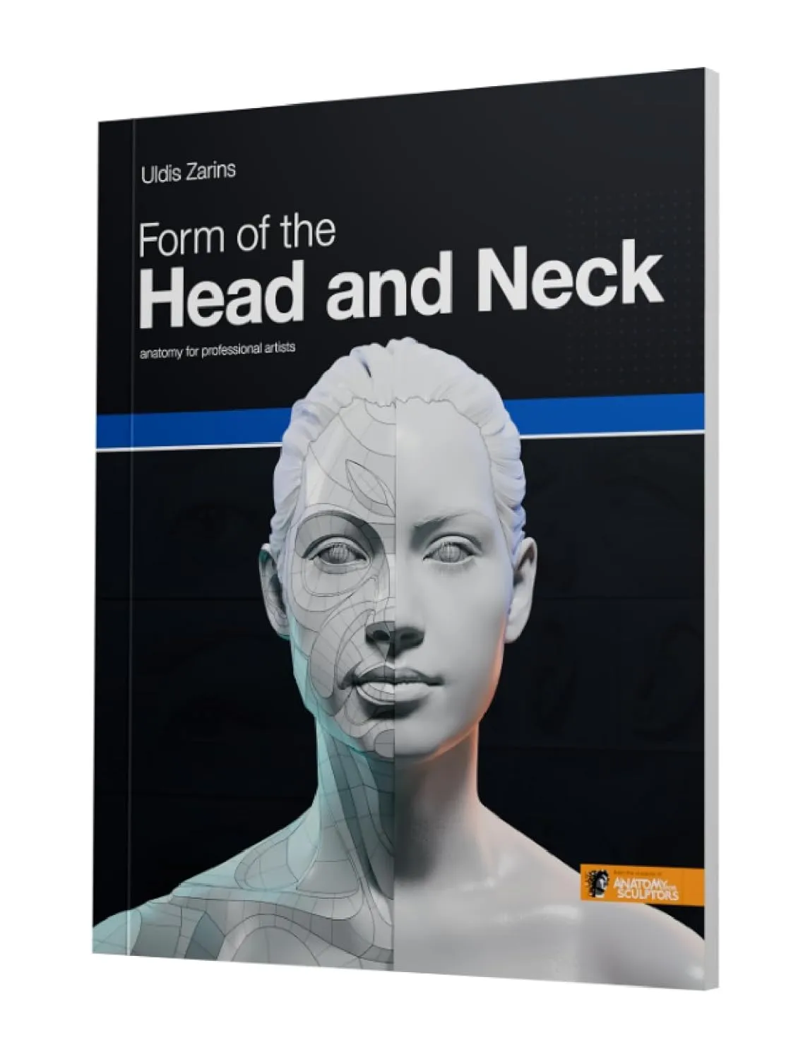 form of the head and neck 1