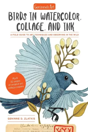 geninnes art birds in watercolor collage and ink