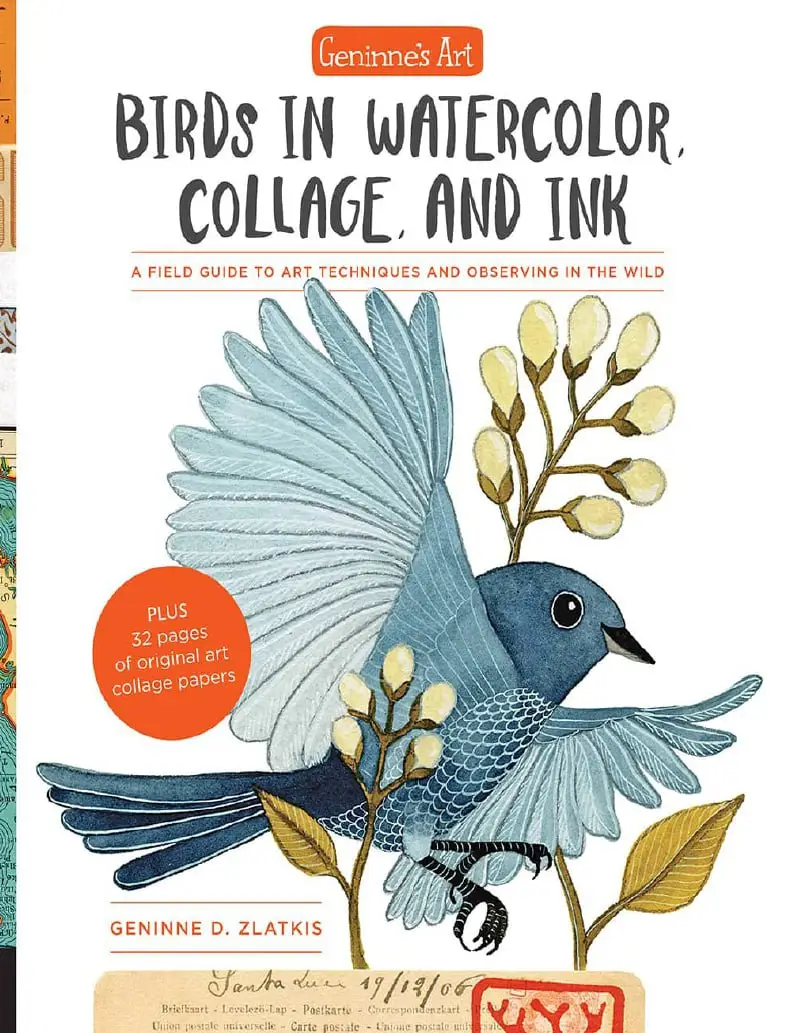 geninnes art birds in watercolor collage and ink