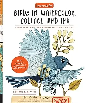 geninnes art birds in watercolor collage and ink2