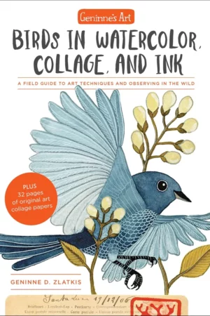 geninnes art birds in watercolor collage and ink 1