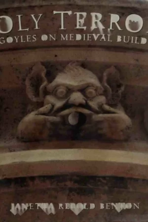 holy terrors gargoyles on medieval buildings