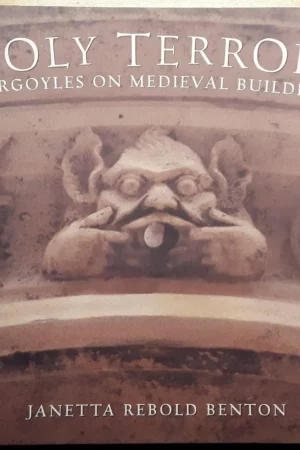 holy terrors gargoyles on medieval buildings