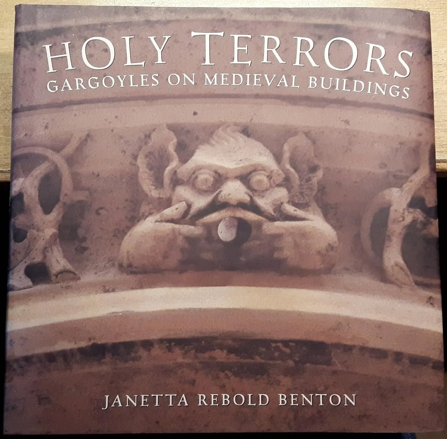 holy terrors gargoyles on medieval buildings