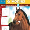 horses ponies step by step instructions for 25 diff