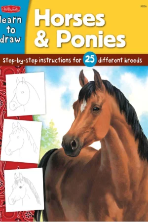 horses ponies step by step instructions for 25 diff