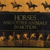 horses and other animals in motion 45 classic photographic sequences