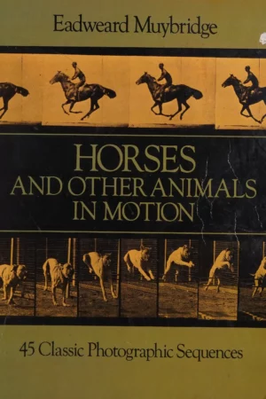 horses and other animals in motion 45 classic photographic sequences