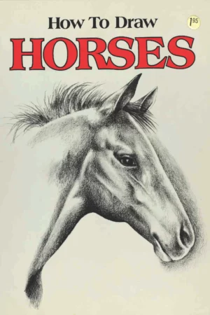 how to draw horses how to draw troll