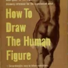how to draw the human figure