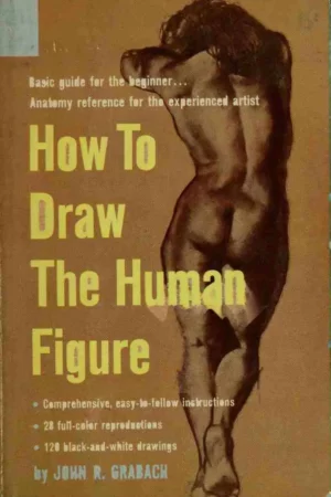 how to draw the human figure