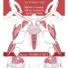 how to draw a character method of drawing with the anatomy of the human body
