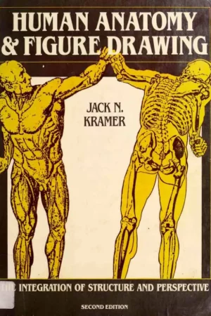 human anatomy and figure drawing