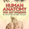 human anatomy for art students