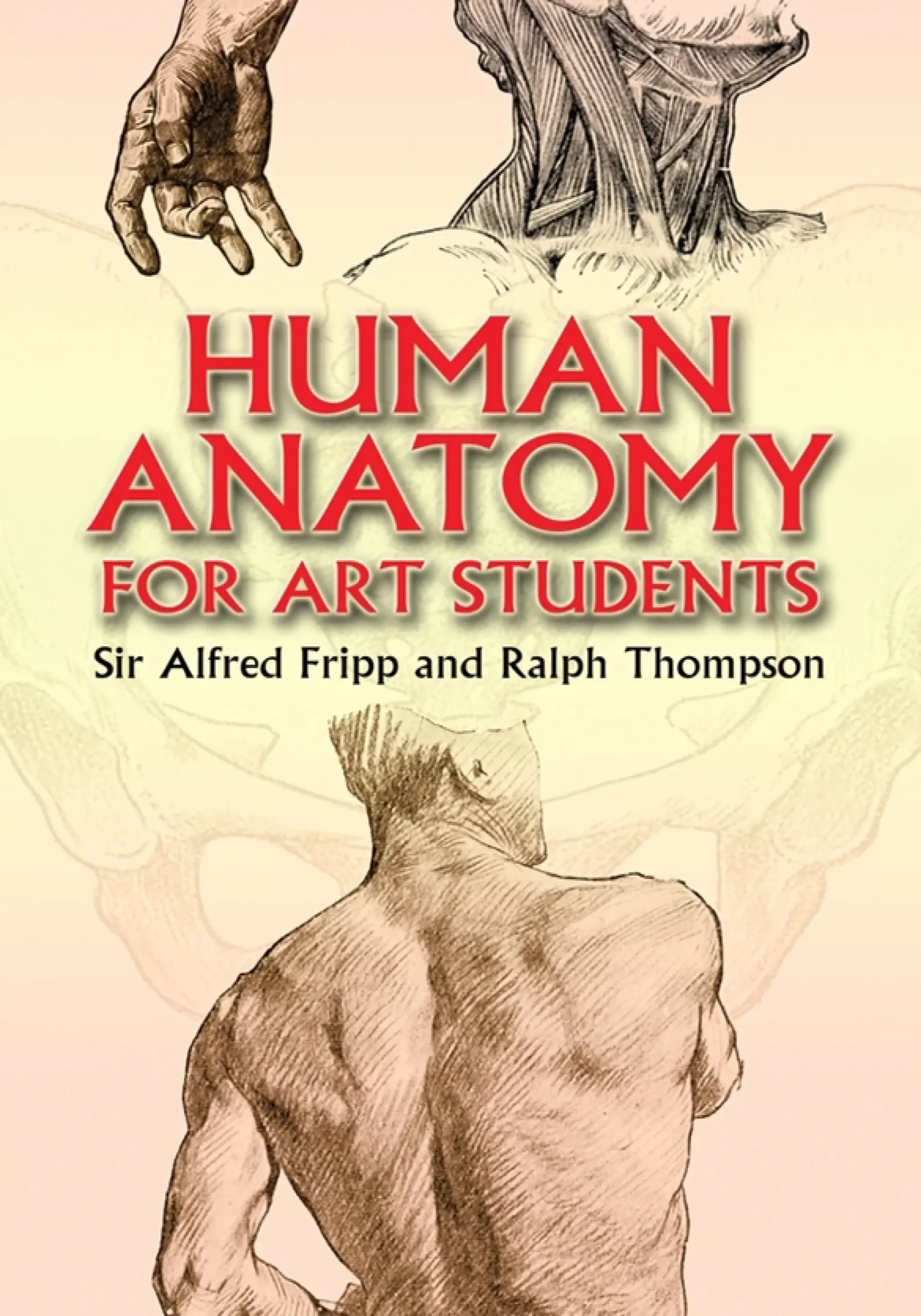human anatomy for art students