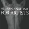 human anatomy for artists the elements of form 1