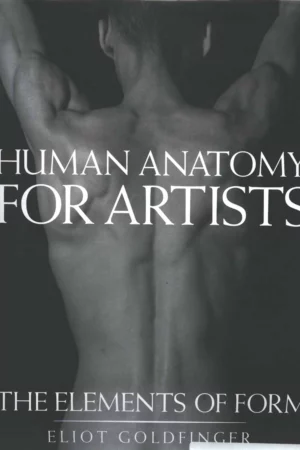 human anatomy for artists the elements of form