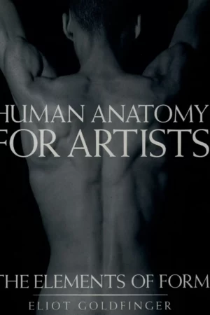 human anatomy for artists the elements of form 1 1