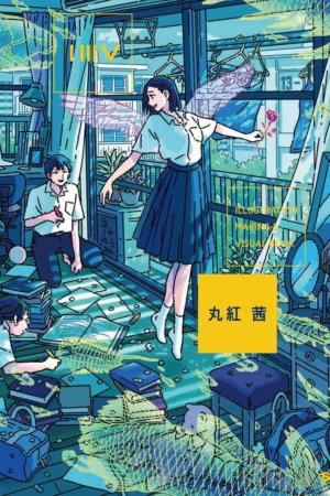 illustration making visual book series