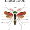illustration a theoretical and contextual perspective