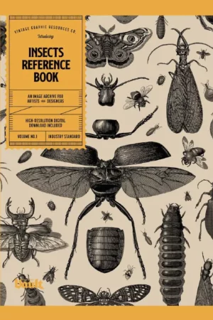 insects reference book an image archive for artists and designers